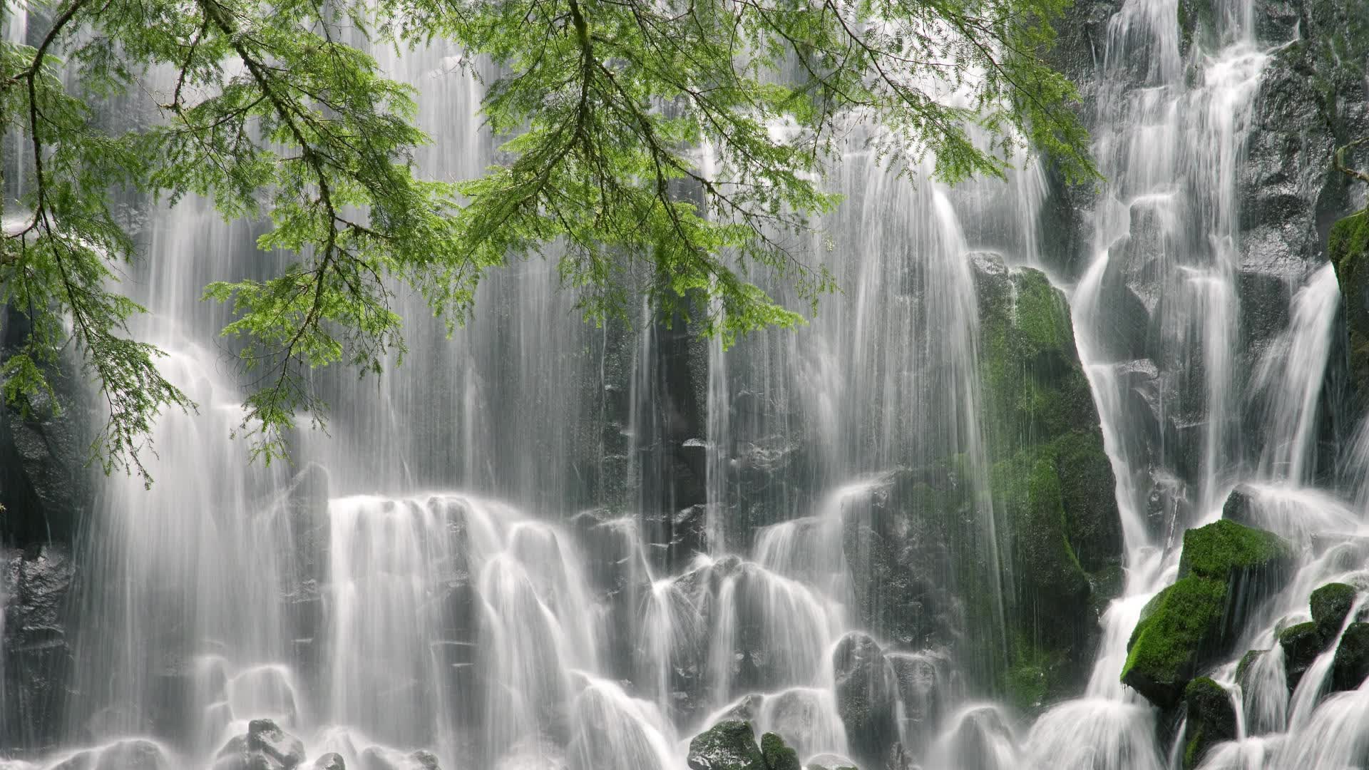 世界保龄球青年联赛线上教学平台增设互动测评,世界保龄球冠军是谁